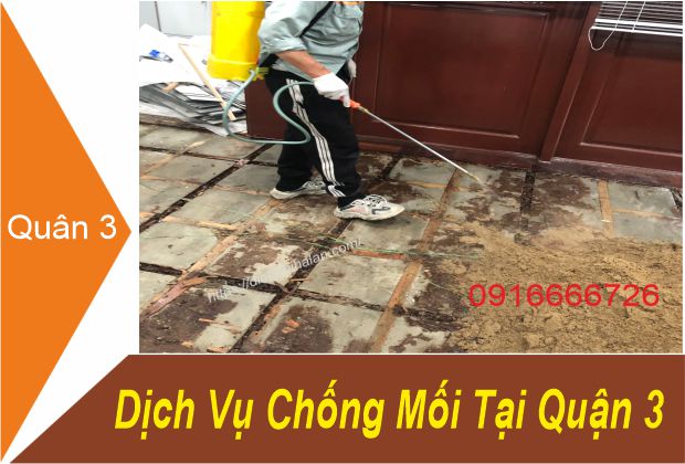 Dịch Vụ Chống Mối Tại Quận 3