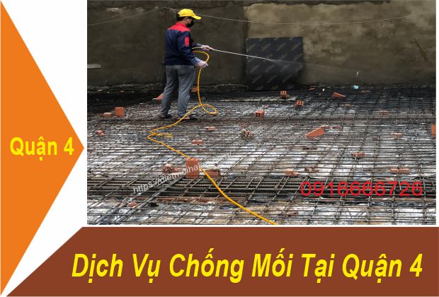 Dịch Vụ Chống Mối Tại Quận 4