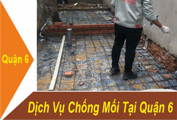 Dịch Vụ Chống Mối Tại Quận 6
