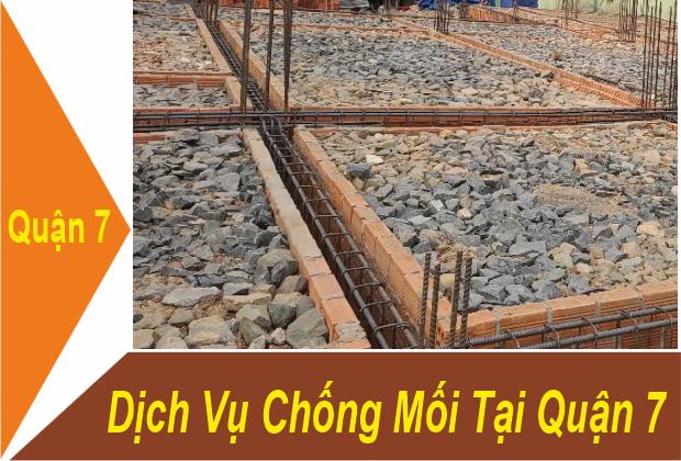 Dịch Vụ Chống Mối Tại Quận 7