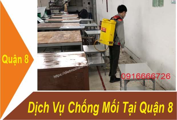 Dịch Vụ Chống Mối Tại Quận 8
