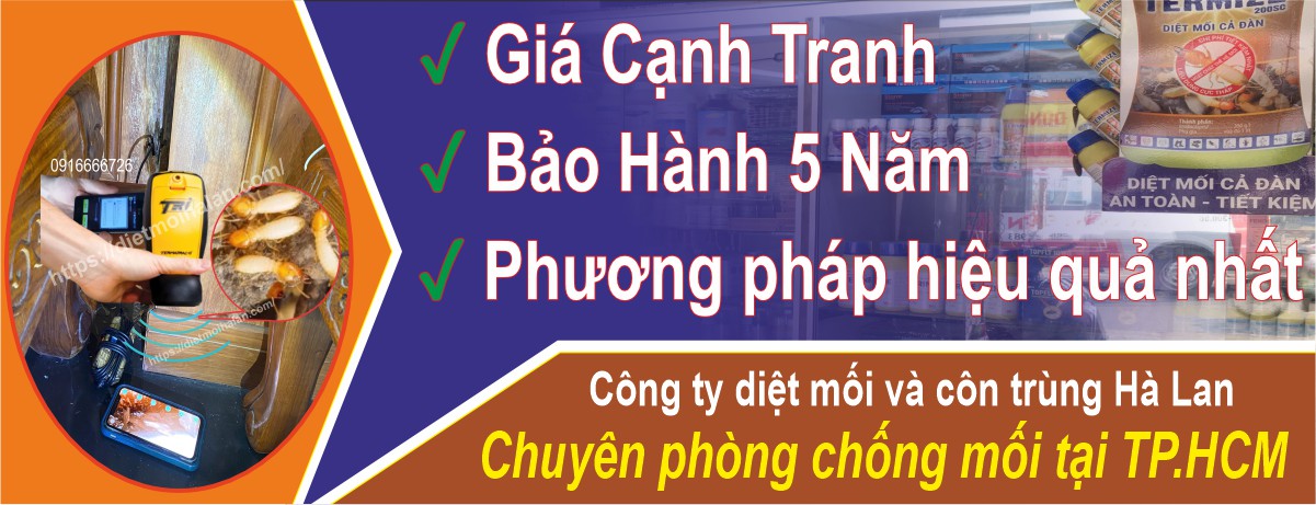Dịch Vụ Chống Mối