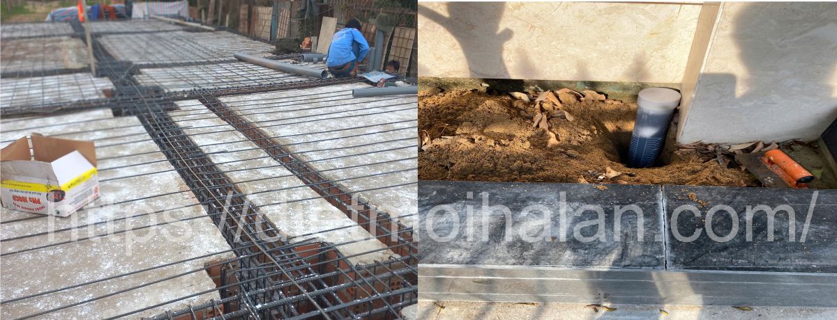 Dịch Vụ Phòng Chống Mối Tại Bình Chánh