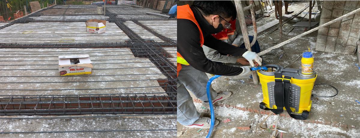 Dịch Vụ Phòng Chống Mối Tại Quận 6