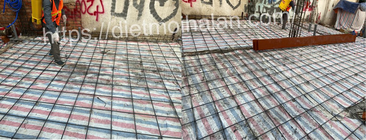 Dịch Vụ Phòng Chống Mối Tại Quận 8