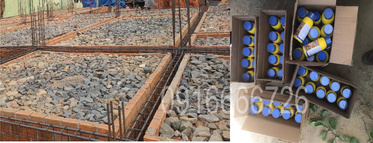 Dịch Vụ Phòng Chống Mối Tại Quận 9