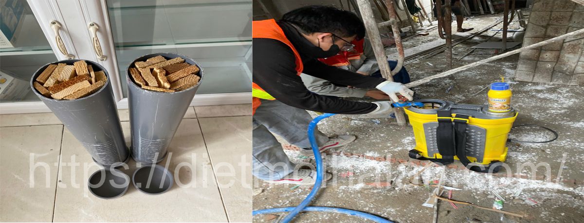 Dịch Vụ Phòng Chống Mối Tại Tân Bình