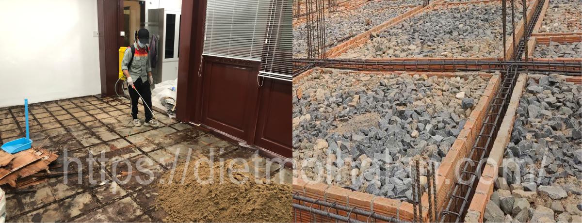 Dịch Vụ Phòng Chống Mối Tại Tân Phú