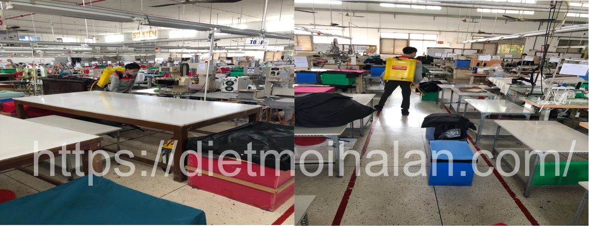 Dịch Vụ Phòng Chống Mối Theo Định Kỳ