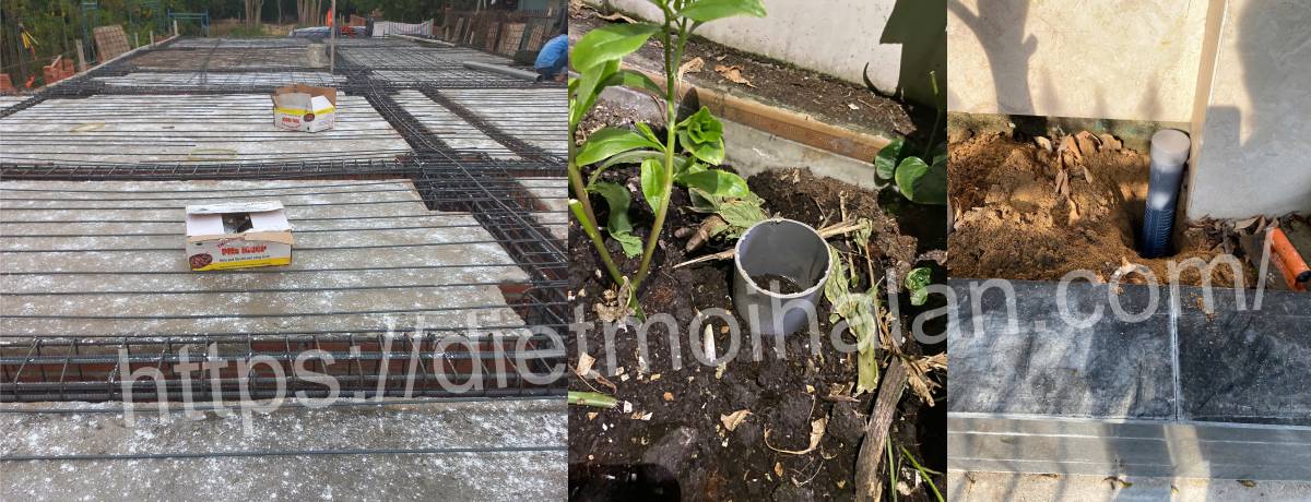 rắc thuốc bột và đặt trạm kiểm tra mối