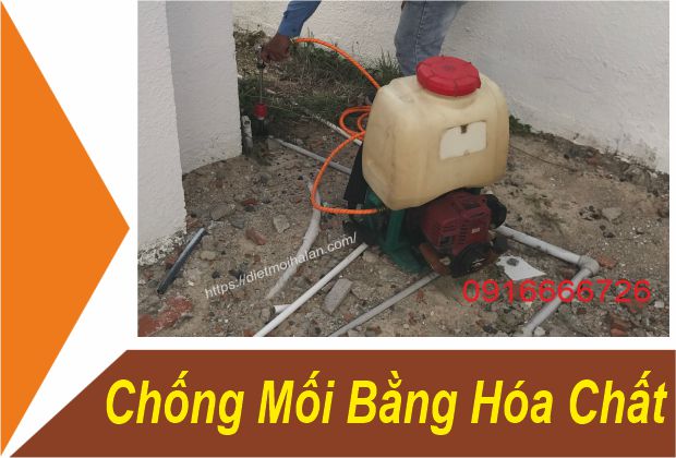 Chống Mối Bằng Hóa Chất
