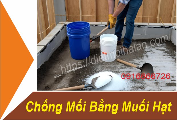 Chống Mối Bằng Muối Hạt